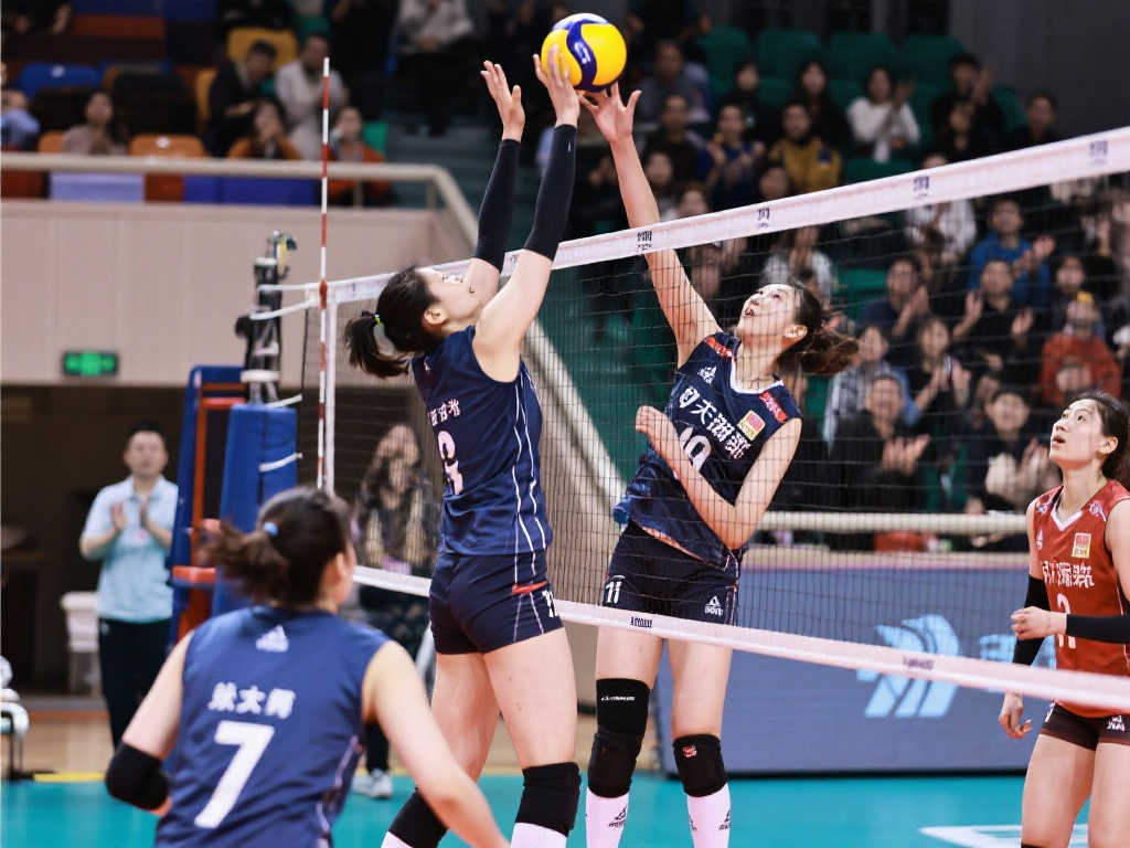 入了新的活 入了新的活