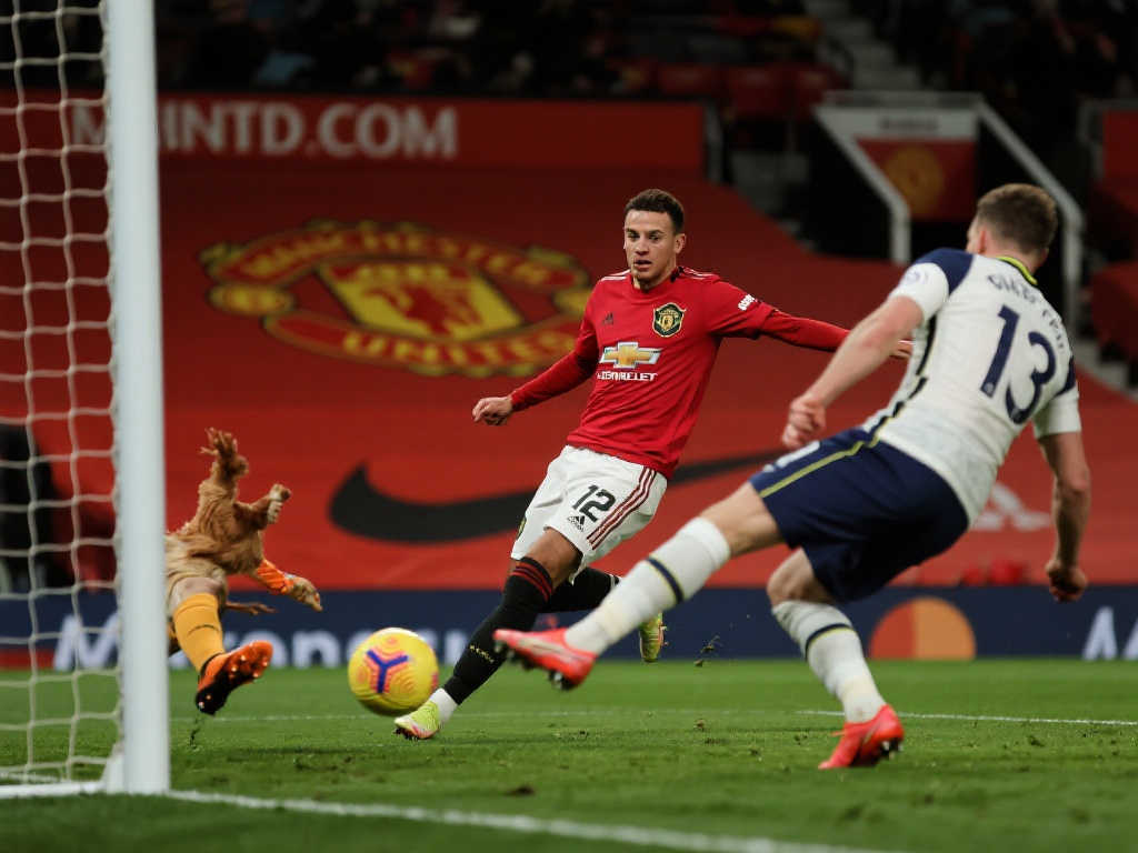 但也隨之帶 但也隨之帶